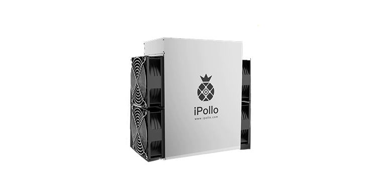 iPollo B1L